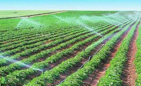 狠狠肏视频农田高 效节水灌溉